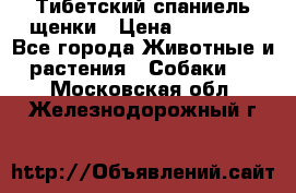 Тибетский спаниель щенки › Цена ­ 60 000 - Все города Животные и растения » Собаки   . Московская обл.,Железнодорожный г.